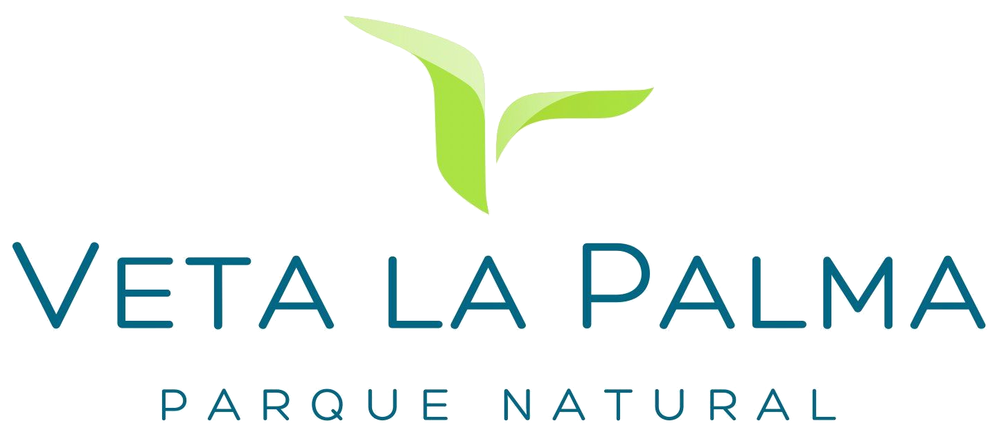 Veta La Palma